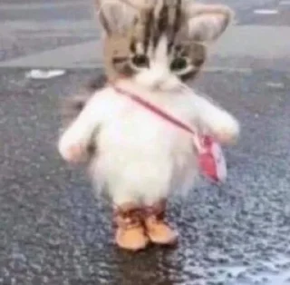 Sticker Кхм кхм - 4