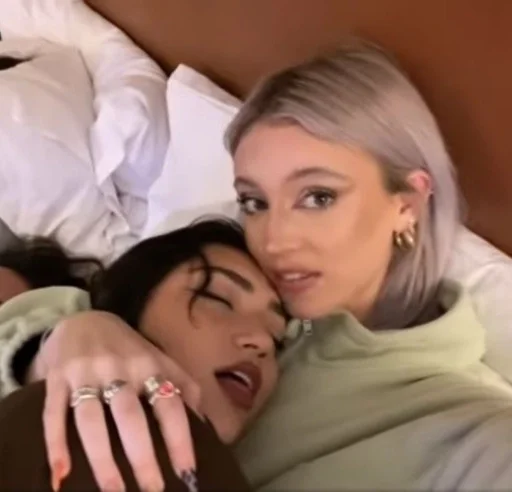 Человек человеческое лицо комнатный