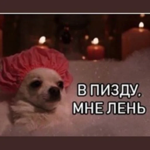 Sticker KyKyPidrila - 1