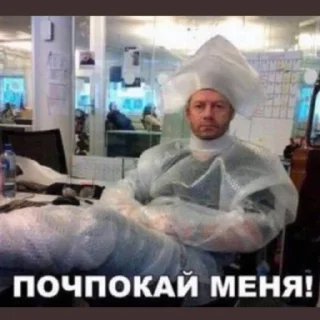 Sticker Здарова, пидрилы - 10