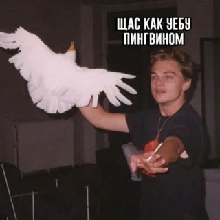 Sticker Здарова, пидрилы - 2