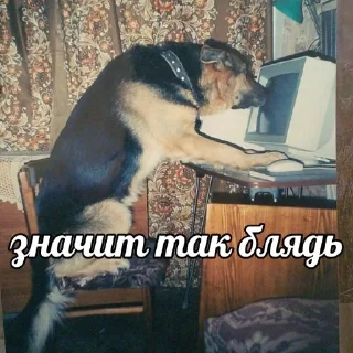 Sticker Здарова, пидрилы - 7