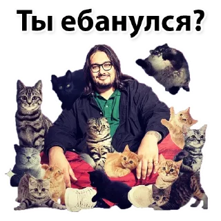 Sticker Куми - 3