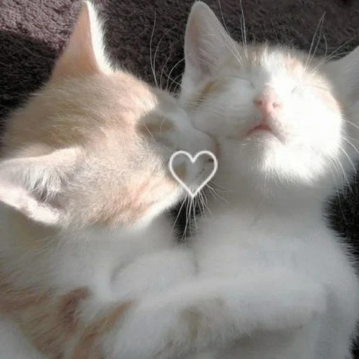 Стикер Kit - 11