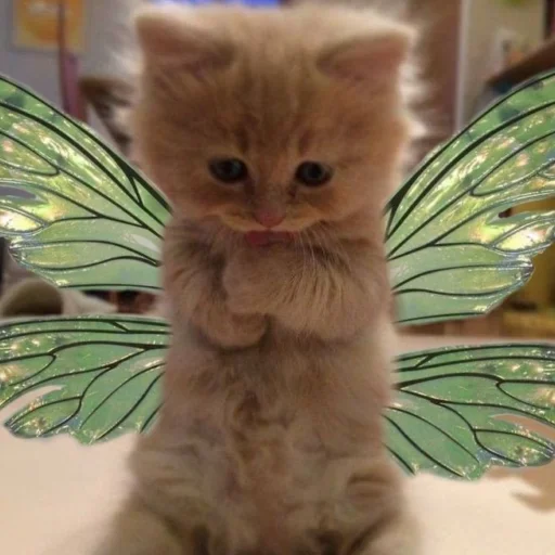 Стикер Kit - 10