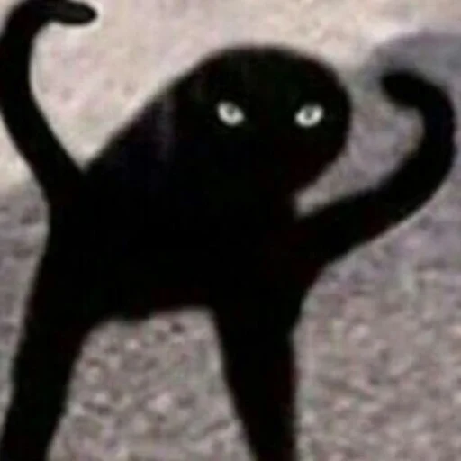 Стикер Kit - 5