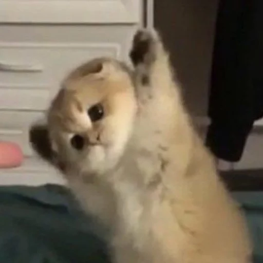 Стикер Kit - 3