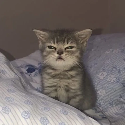 Стикер Kit - 2