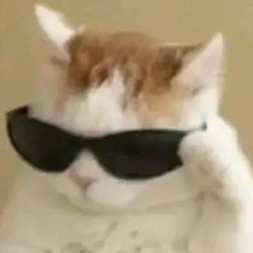 Стикер Kit - 1