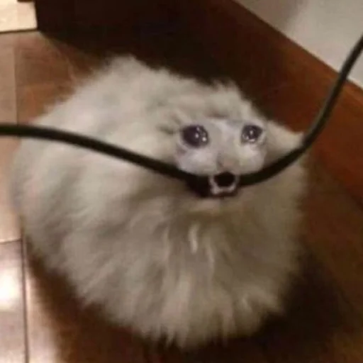 Стикер Kit - 0