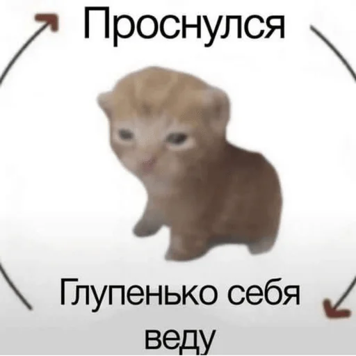 Sticker Kylebiakaaa - 1