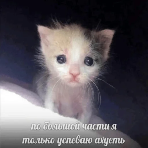 Sticker Kylebiakaaa - 1