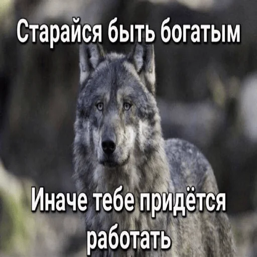 Sticker Kylebiakaaa - 1