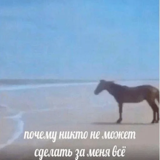 Sticker Kylebiakaaa - 1