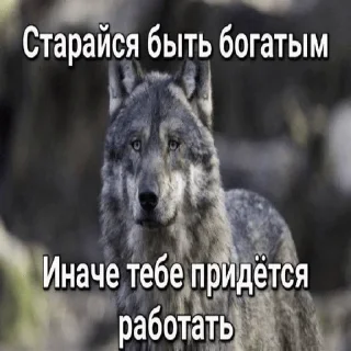 Sticker кулебяка - 3