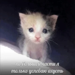 Sticker кулебяка - 4