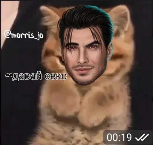 СМС человеческое лицо млекопитающее