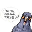 Sticker Голубь Геннадий - 6