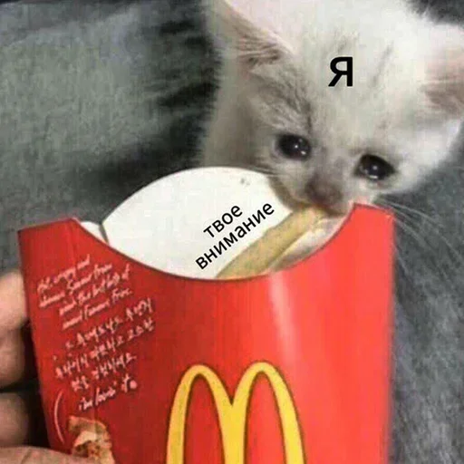 Sticker KzdhjQdHflP_by_stickers_stealer_bot - 1