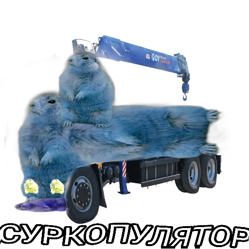 Стикер Локалити - 1