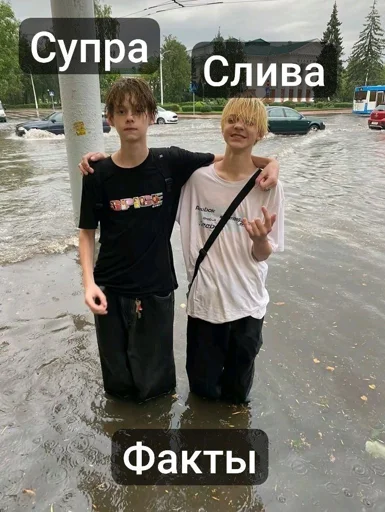 Sticker L1Z1m4_by_EmojiRuBot - 1