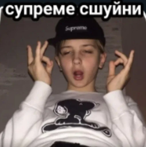 Sticker L1Z1m4_by_EmojiRuBot - 1