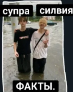 Стикер Слива, леее Шайни @Hainilol - 7