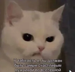 Стикер Создать стикеры|@EmojiRuBot - 5