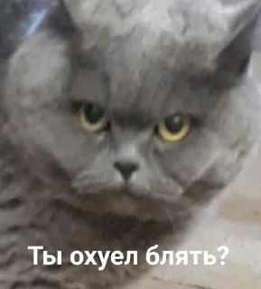 Стикер Создать стикеры|@EmojiRuBot - 2