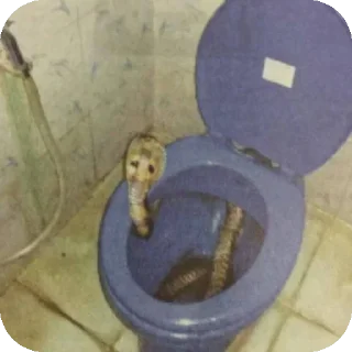 Sticker @stiki_tg_nah_canal - 3