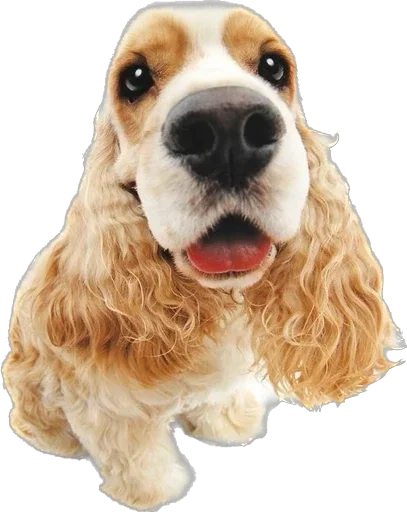 Sticker Больше стикеров 👉🏻 @stickertg4 - 9