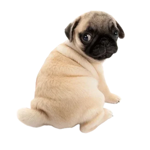 Больше стикеров 👉🏻 @stickertg4 - 