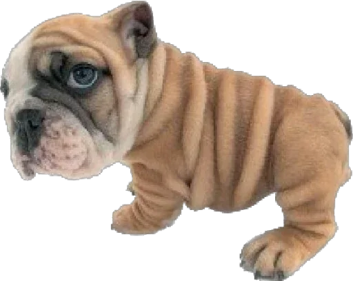 Sticker Больше стикеров 👉🏻 @stickertg4 - 4