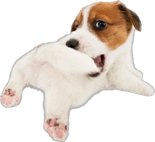 Sticker Больше стикеров 👉🏻 @stickertg4 - 3