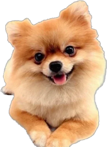 Sticker Больше стикеров 👉🏻 @stickertg4 - 0