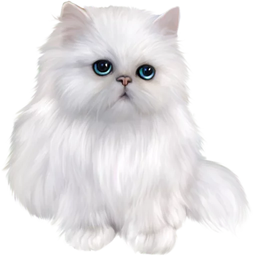 animal cat domestic cat