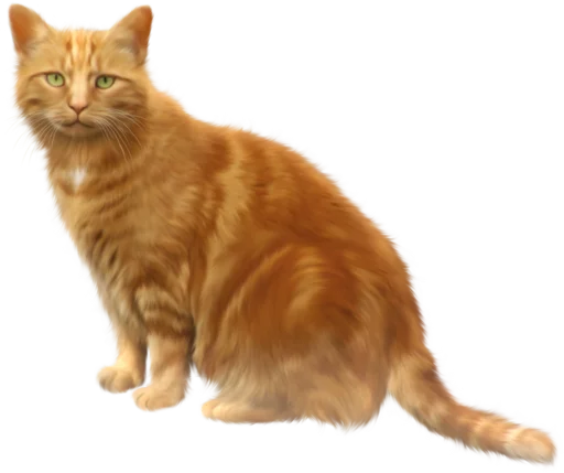 animal mammal domestic cat