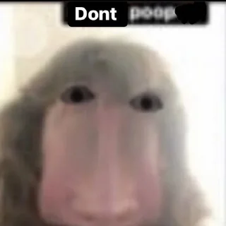 Стикер QUEENS OF RAP - 6