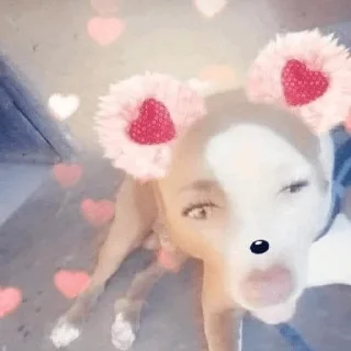 Стикер QUEENS OF RAP - 8