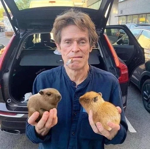 Sticker Больше стиков тут: @stikery4 - 3