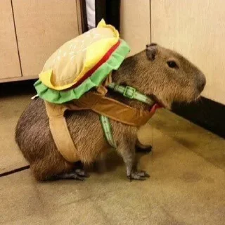 Sticker Больше стиков тут: @stikery4 - 0