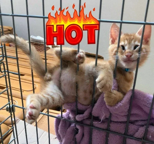 Sticker Лиза пак - 9