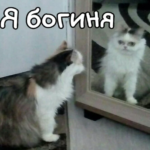 Стикер LIIIZAAA - 1