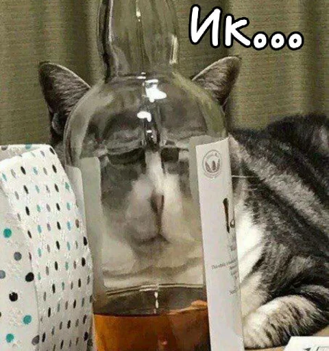 Sticker Лиза пак - 1