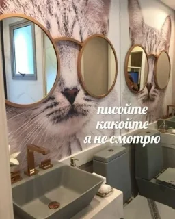 Sticker Лиза пак - 6