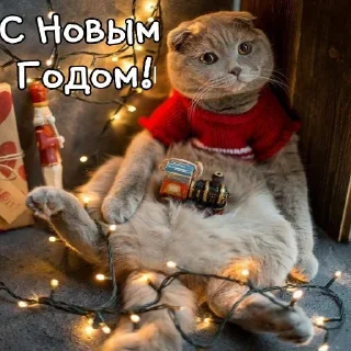 Sticker Лиза пак - 5