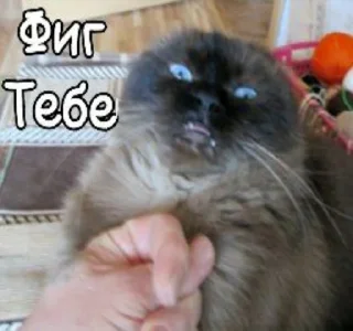 Sticker Лиза пак - 3