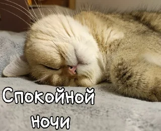 Sticker Лиза пак - 8