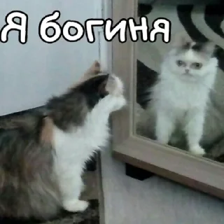 Sticker Лиза пак - 4