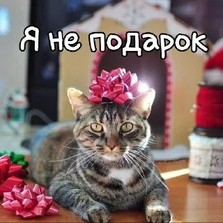 Sticker Лиза пак - 2